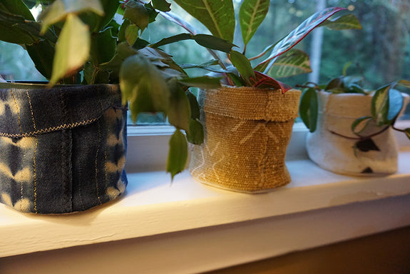 African Indigo Plant Holder