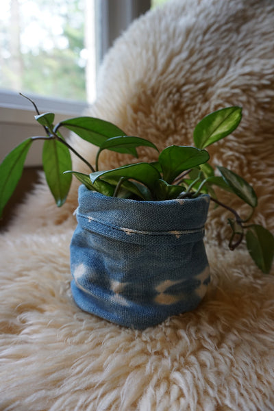 African Indigo Plant Holder