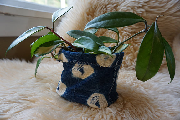 African Indigo Plant Holder