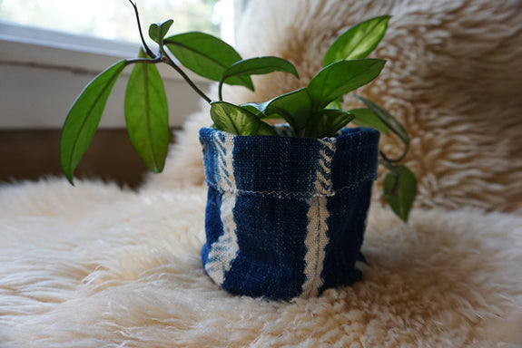 African Indigo Plant Holder