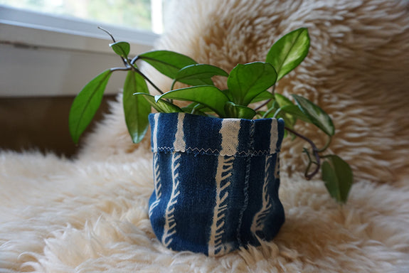 African Indigo Plant Holder