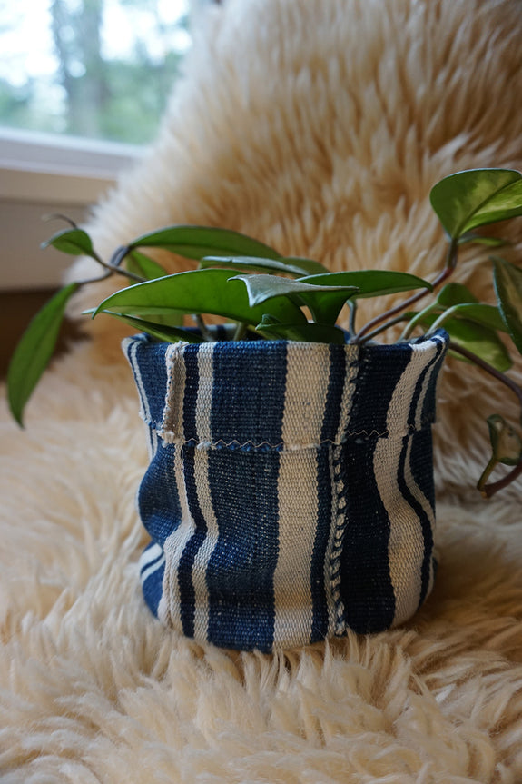 African Indigo Plant Holder