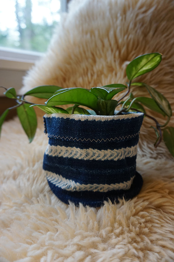 African Indigo Plant Holder