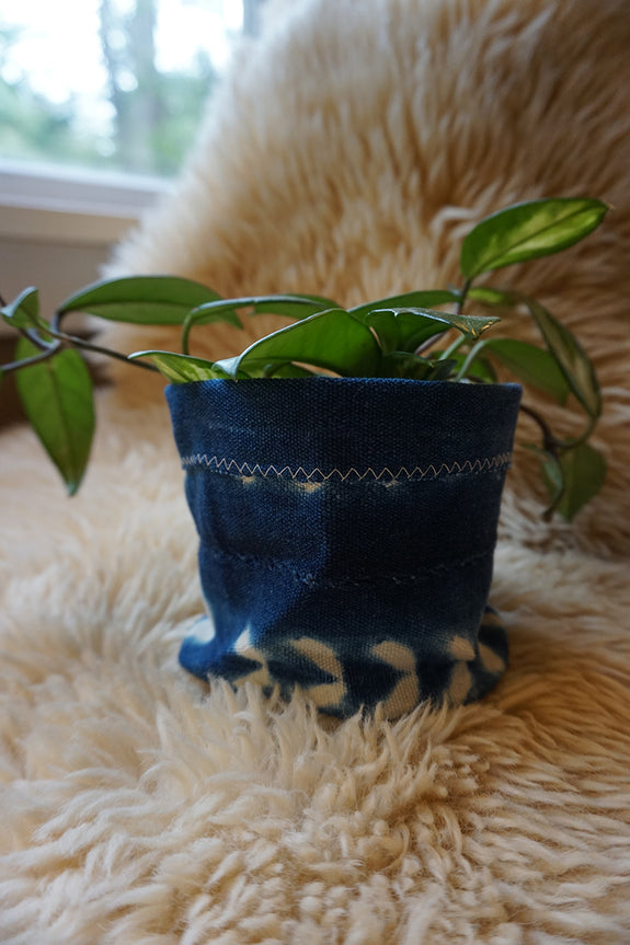 African Indigo Plant Holder