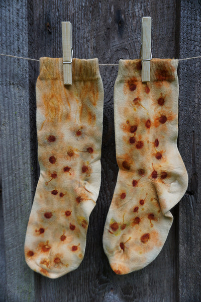 Pair of Socks - Small #1