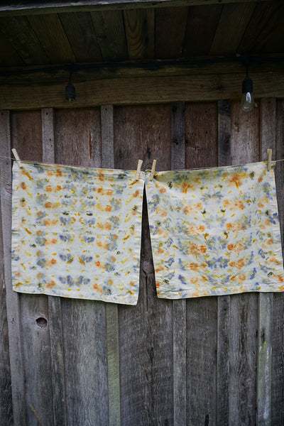 Naturally Dyed Set/2 Napkins - Purple/Orange/Yellow/Green