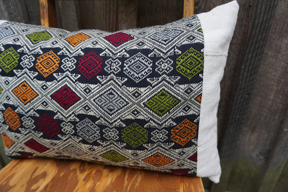 Eliana - Vintage Laotian Silk Textile with African Cotton Pillow